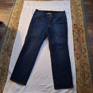 Lane Bryant Midnight Blue Straight Leg Jeans